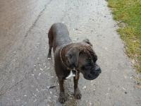 20251117_140546 (1024x768).jpg